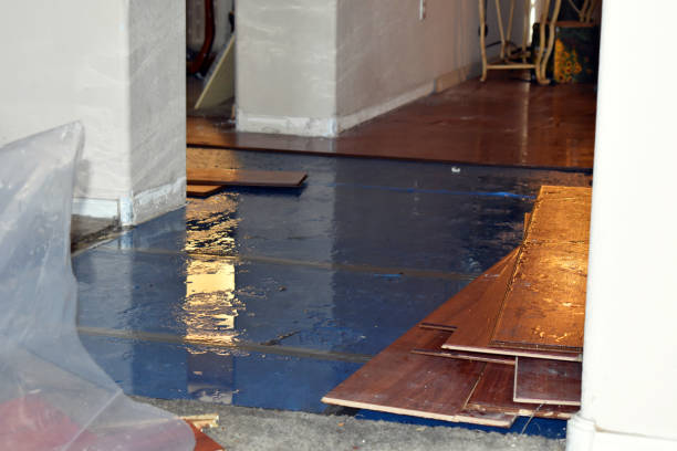 Professional Burst Pipe Cleanup technician working in Fletcher, OK